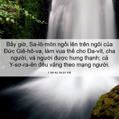 Picture 06 - 1 Sử Ký 29:23 VIE - Bấy giờ, Sa-lô-môn ngồi lên trên ngôi - Bible Verse Picture