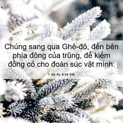 Picture 06 - 1 Sử Ký 4:39 VIE - Chúng sang qua Ghê-đô, đến bên phía - Bible Verse Picture