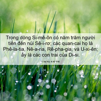 Picture 06 - 1 Sử Ký 4:42 VIE - Trong dòng Si-mê-ôn có năm trăm người - Bible Verse Picture