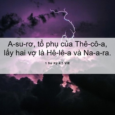Picture 06 - 1 Sử Ký 4:5 VIE - A-su-rơ, tổ phụ của Thê-cô-a, lấy hai - Bible Verse Picture