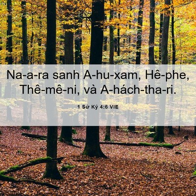 Picture 06 - 1 Sử Ký 4:6 VIE - Na-a-ra sanh A-hu-xam, Hê-phe, Thê-mê-ni, và - Bible Verse Picture