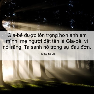 Picture 06 - 1 Sử Ký 4:9 VIE - Gia-bê được tôn trọng hơn anh em mình; - Bible Verse Picture