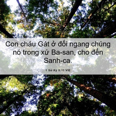 Picture 06 - 1 Sử Ký 5:11 VIE - Con cháu Gát ở đối ngang chúng nó trong - Bible Verse Picture