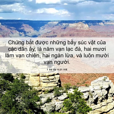 Picture 06 - 1 Sử Ký 5:21 VIE - Chúng bắt được những bầy súc vật - Bible Verse Picture