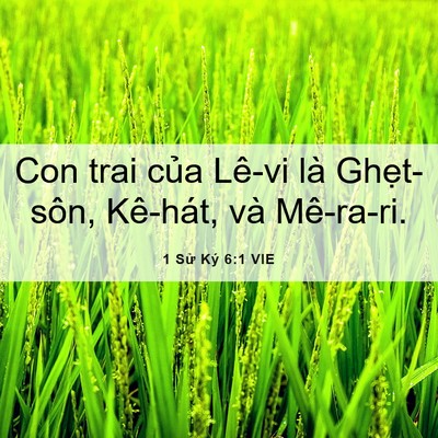 Picture 06 - 1 Sử Ký 6:1 VIE - Con trai của Lê-vi là Ghẹt-sôn, Kê-hát, - Bible Verse Picture