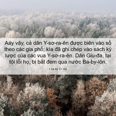 Picture 06 - 1 Sử Ký 9:1 VIE - Aáy vậy, cả dân Y-sơ-ra-ên được biên - Bible Verse Picture