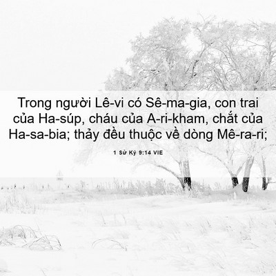 Picture 06 - 1 Sử Ký 9:14 VIE - Trong người Lê-vi có Sê-ma-gia, con trai - Bible Verse Picture