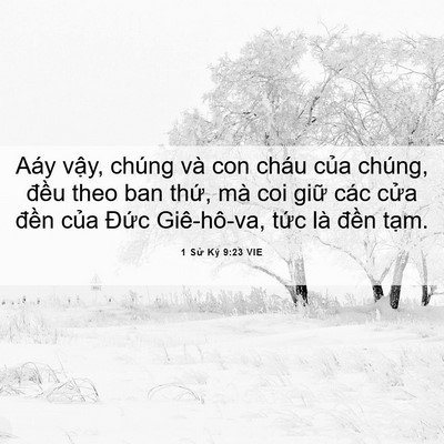 Picture 06 - 1 Sử Ký 9:23 VIE - Aáy vậy, chúng và con cháu của chúng, - Bible Verse Picture
