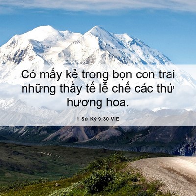 Picture 06 - 1 Sử Ký 9:30 VIE - Có mấy kẻ trong bọn con trai những - Bible Verse Picture
