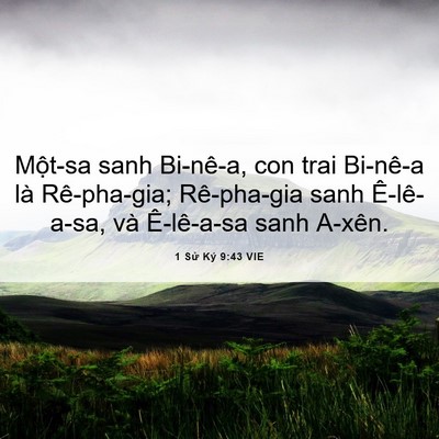 Picture 06 - 1 Sử Ký 9:43 VIE - Một-sa sanh Bi-nê-a, con trai Bi-nê-a là - Bible Verse Picture