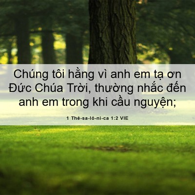 Picture 06 - 1 Thê-sa-lô-ni-ca 1:2 VIE - Chúng tôi hằng vì anh em tạ ơn Đức - Bible Verse Picture