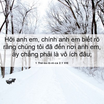 Picture 06 - 1 Thê-sa-lô-ni-ca 2:1 VIE - Hỡi anh em, chính anh em biết rõ rằng - Bible Verse Picture