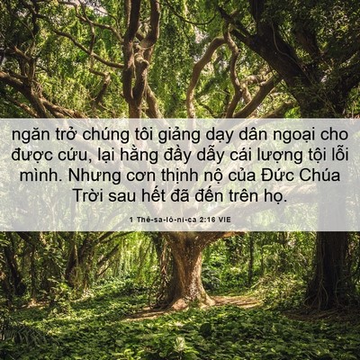 Picture 06 - 1 Thê-sa-lô-ni-ca 2:16 VIE - ngăn trở chúng tôi giảng dạy dân - Bible Verse Picture