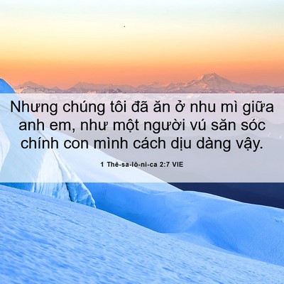 Picture 06 - 1 Thê-sa-lô-ni-ca 2:7 VIE - Nhưng chúng tôi đã ăn ở nhu mì giữa - Bible Verse Picture