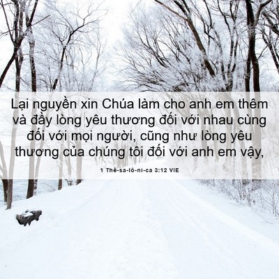 Picture 06 - 1 Thê-sa-lô-ni-ca 3:12 VIE - Lại nguyền xin Chúa làm cho anh em thêm - Bible Verse Picture
