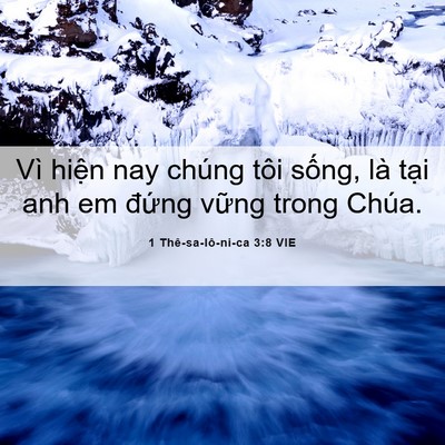 Picture 06 - 1 Thê-sa-lô-ni-ca 3:8 VIE - Vì hiện nay chúng tôi sống, là tại anh - Bible Verse Picture
