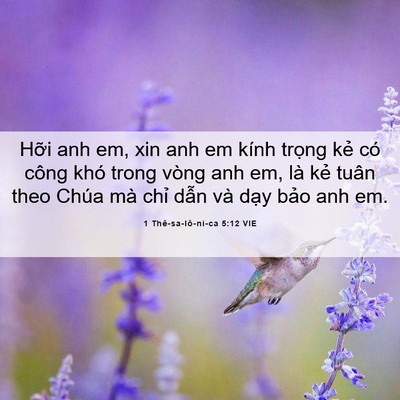 Picture 06 - 1 Thê-sa-lô-ni-ca 5:12 VIE - Hỡi anh em, xin anh em kính trọng kẻ có - Bible Verse Picture