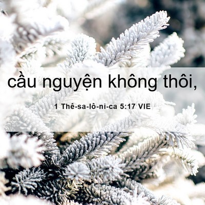Picture 06 - 1 Thê-sa-lô-ni-ca 5:17 VIE - cầu nguyện không - Bible Verse Picture