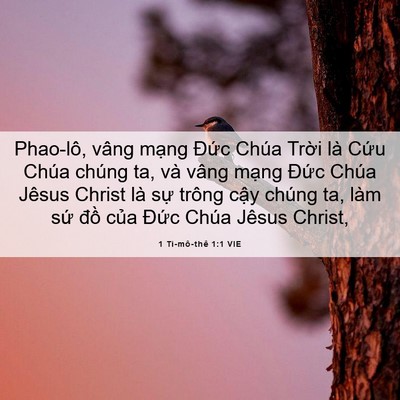 Picture 06 - 1 Ti-mô-thê 1:1 VIE - Phao-lô, vâng mạng Đức Chúa Trời là - Bible Verse Picture