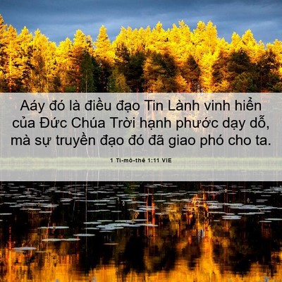 Picture 06 - 1 Ti-mô-thê 1:11 VIE - Aáy đó là điều đạo Tin Lành vinh - Bible Verse Picture