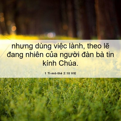 Picture 06 - 1 Ti-mô-thê 2:10 VIE - nhưng dùng việc lành, theo lẽ đang nhiên - Bible Verse Picture