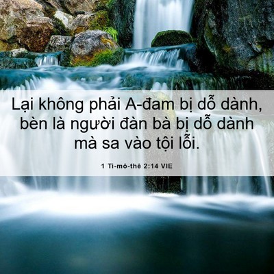 Picture 06 - 1 Ti-mô-thê 2:14 VIE - Lại không phải A-đam bị dỗ dành, bèn - Bible Verse Picture