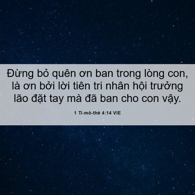 Picture 06 - 1 Ti-mô-thê 4:14 VIE - Đừng bỏ quên ơn ban trong lòng con, là - Bible Verse Picture