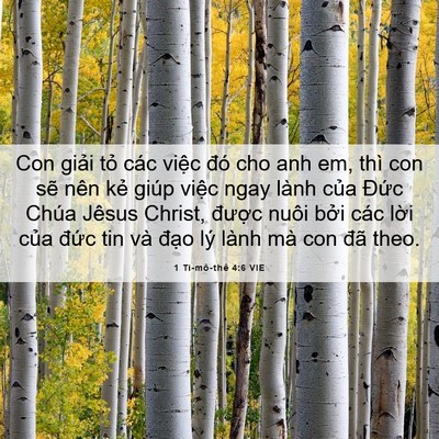 Picture 06 - 1 Ti-mô-thê 4:6 VIE - Con giải tỏ các việc đó cho anh em, thì - Bible Verse Picture