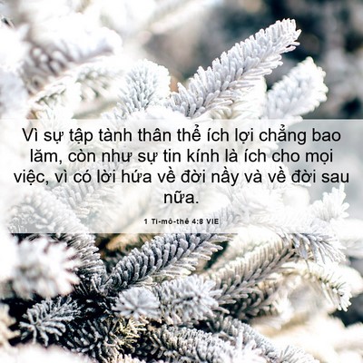 Picture 06 - 1 Ti-mô-thê 4:8 VIE - Vì sự tập tành thân thể ích lợi - Bible Verse Picture