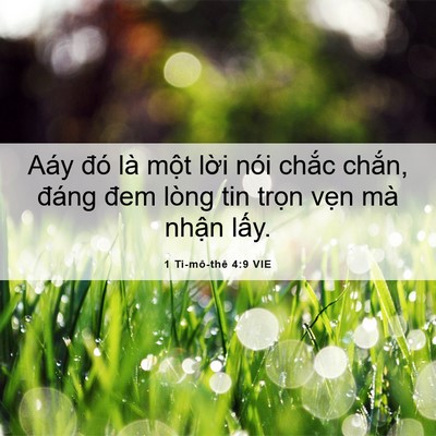 Picture 06 - 1 Ti-mô-thê 4:9 VIE - Aáy đó là một lời nói chắc chắn, - Bible Verse Picture