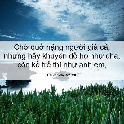 Picture 06 - 1 Ti-mô-thê 5:1 VIE - Chớ quở nặng người già cả, nhưng - Bible Verse Picture