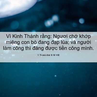Picture 06 - 1 Ti-mô-thê 5:18 VIE - Vì Kinh Thánh rằng: Ngươi chớ khớp - Bible Verse Picture