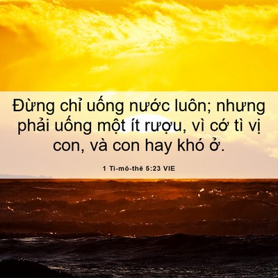 Picture 06 - 1 Ti-mô-thê 5:23 VIE - Đừng chỉ uống nước luôn; nhưng phải - Bible Verse Picture