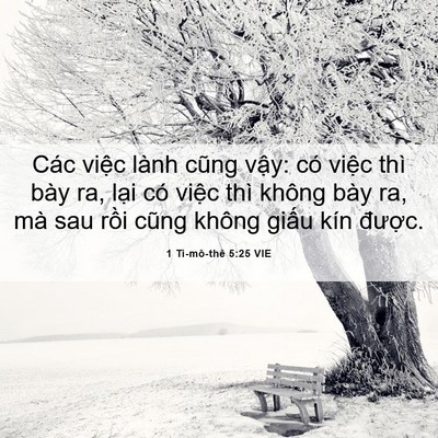 Picture 06 - 1 Ti-mô-thê 5:25 VIE - Các việc lành cũng vậy: có việc thì - Bible Verse Picture