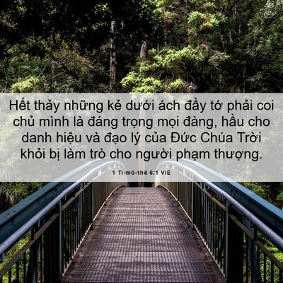 Picture 06 - 1 Ti-mô-thê 6:1 VIE - Hết thảy những kẻ dưới ách đầy - Bible Verse Picture