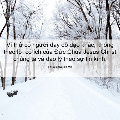 Picture 06 - 1 Ti-mô-thê 6:3 VIE - Ví thử có người dạy dỗ đạo khác, - Bible Verse Picture