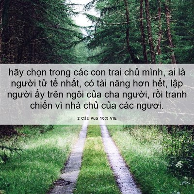 Picture 06 - 2 Các Vua 10:3 VIE - hãy chọn trong các con trai chủ mình, ai - Bible Verse Picture