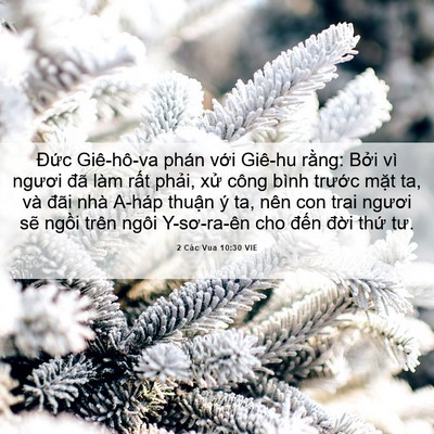 Picture 06 - 2 Các Vua 10:30 VIE - Đức Giê-hô-va phán với Giê-hu rằng: - Bible Verse Picture
