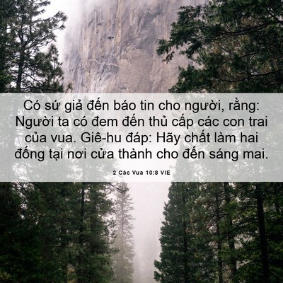 Picture 06 - 2 Các Vua 10:8 VIE - Có sứ giả đến báo tin cho người, - Bible Verse Picture