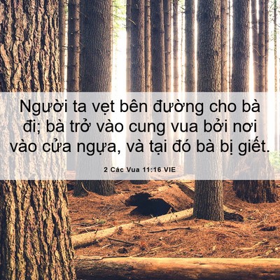 Picture 06 - 2 Các Vua 11:16 VIE - Người ta vẹt bên đường cho bà đi; bà - Bible Verse Picture