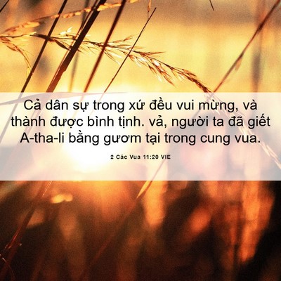 Picture 06 - 2 Các Vua 11:20 VIE - Cả dân sự trong xứ đều vui mừng, và - Bible Verse Picture