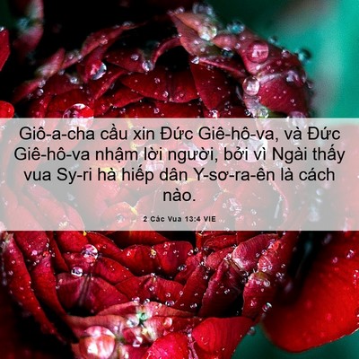 Picture 06 - 2 Các Vua 13:4 VIE - Giô-a-cha cầu xin Đức Giê-hô-va, và - Bible Verse Picture