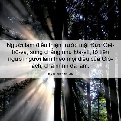 Picture 06 - 2 Các Vua 14:3 VIE - Người làm điều thiện trước mặt - Bible Verse Picture