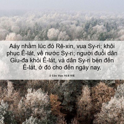 Picture 06 - 2 Các Vua 16:6 VIE - Aáy nhằm lúc đó Rê-xin, vua Sy-ri; khôi - Bible Verse Picture