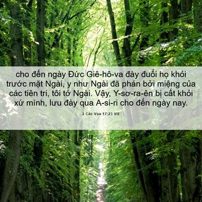 Picture 06 - 2 Các Vua 17:23 VIE - cho đến ngày Đức Giê-hô-va đày đuổi - Bible Verse Picture