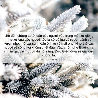 Picture 06 - 2 Các Vua 18:32 VIE - cho đến chừng ta tới dẫn các ngươi - Bible Verse Picture