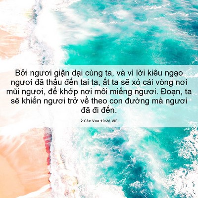 Picture 06 - 2 Các Vua 19:28 VIE - Bởi ngươi giận dại cùng ta, và vì - Bible Verse Picture