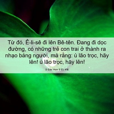 Picture 06 - 2 Các Vua 2:23 VIE - Từ đó, Ê-li-sê đi lên Bê-tên. Đang đi - Bible Verse Picture