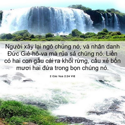 Picture 06 - 2 Các Vua 2:24 VIE - Người xây lại ngó chúng nó, và nhân - Bible Verse Picture