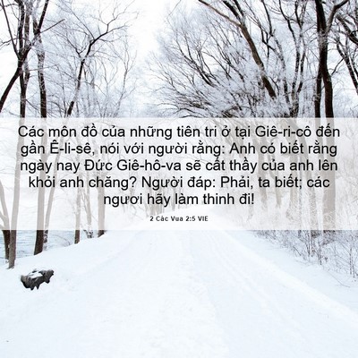 Picture 06 - 2 Các Vua 2:5 VIE - Các môn đồ của những tiên tri ở tại - Bible Verse Picture